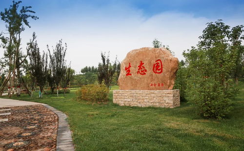 邯鄲這個地方出名了 黑色礦渣山逆襲成 綠富美 生態園