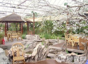 龜茲綠洲生態(tài)園門票預(yù)訂