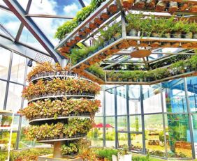 硯山中澳生態(tài)園景色迷人