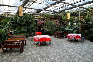 寧安農場生態園 自然與農業的和諧共生