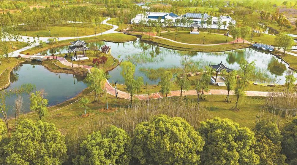 魚梁洲中央生態(tài)公園 城市綠肺煥新顏，生態(tài)園即將盛大啟幕